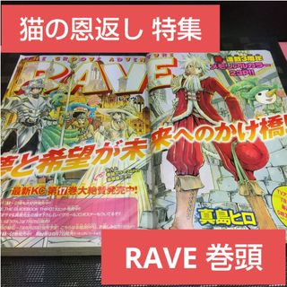 コウダンシャ(講談社)の週刊少年マガジン 2002年33号※RAVE レイヴ 巻頭カラー※猫の恩返し特集(少年漫画)