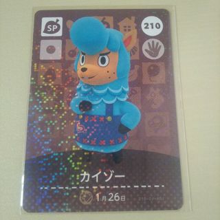 ニンテンドウ(任天堂)のどう森 あつ森 とび森 どうぶつの森 amiiboカード カイゾー 210(その他)