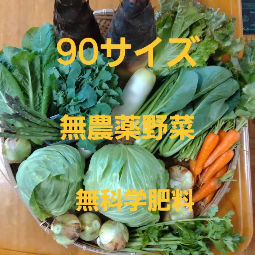 無農薬野菜　90サイズ　無科学肥料 食品/飲料/酒の食品(野菜)の商品写真