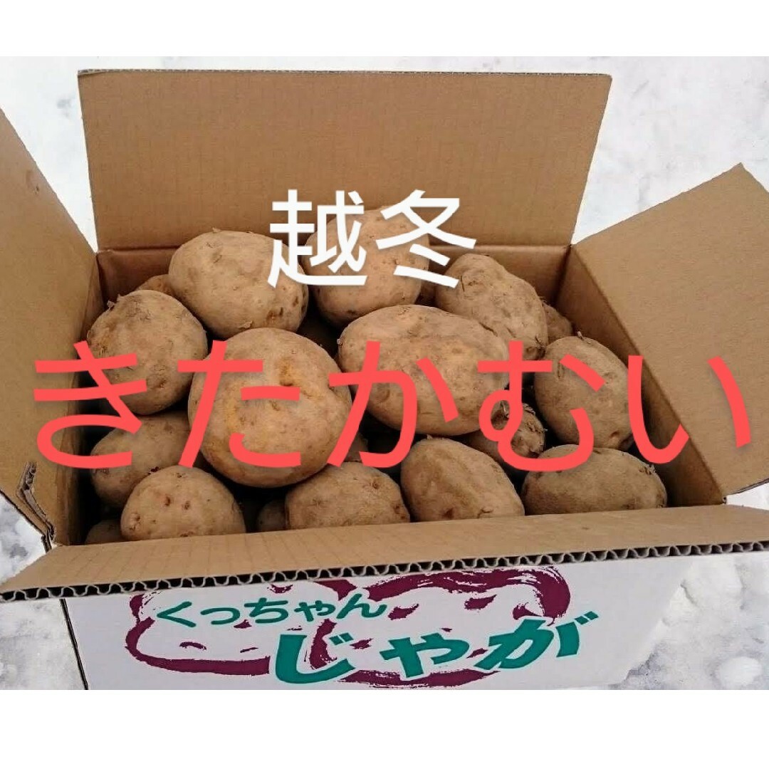 北海道産　越冬じゃが芋　きたかむい20キロ 食品/飲料/酒の食品(野菜)の商品写真