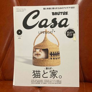 マガジンハウス(マガジンハウス)のCasa BRUTUS (カーサ・ブルータス) 2022年 06月号 [雑誌](生活/健康)