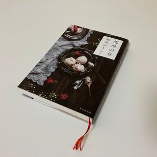 流浪の月(文学/小説)