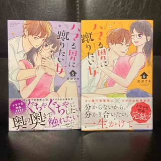 ハマる男に蹴りたい女5〜6巻、弁護士と17歳(10)(少女漫画)