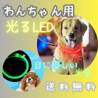 首輪 光る LEDライト レインボー USB充電 散歩 夜間 安全 ペット 犬(犬)
