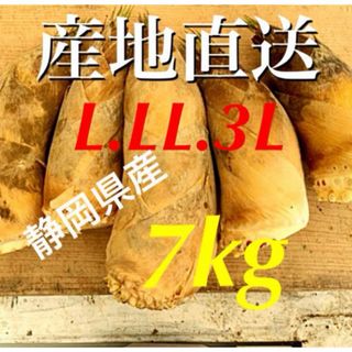 静岡県産！朝掘り！新鮮！ たけのこ 7kg ！米ぬか付き♪(野菜)