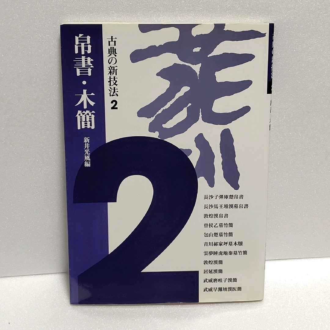 古典の新技法〈2〉帛書・木簡 二玄社 新井 光風 エンタメ/ホビーの本(趣味/スポーツ/実用)の商品写真