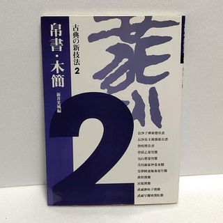 古典の新技法〈2〉帛書・木簡 二玄社 新井 光風