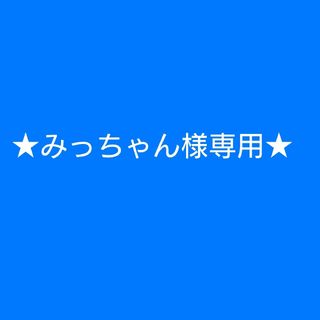 ステッカー★みっちゃん様専用★(ミュージシャン)