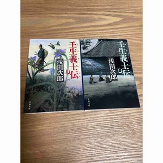 壬生義士伝(文学/小説)