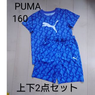 PUMA 160 上下セット