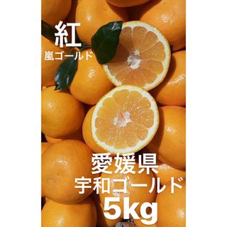 愛媛県産　宇和ゴールド紅　嵐ゴールド　河内晩柑　柑橘　5kg(フルーツ)