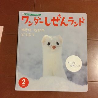 ワンダーしぜんランド　ゆきのなかのどうぶつ(絵本/児童書)