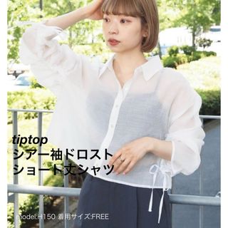 tip top - tiptop シアー袖ドロストショート丈シャツ レディースシャツ 新品タグ有り