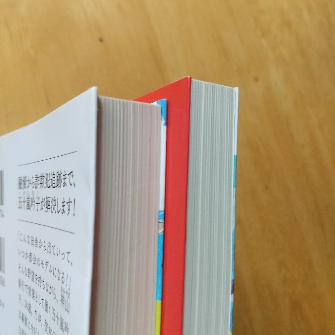 2冊セット 銀行ガール、幸せは口座に預けることはできません エンタメ/ホビーの本(文学/小説)の商品写真