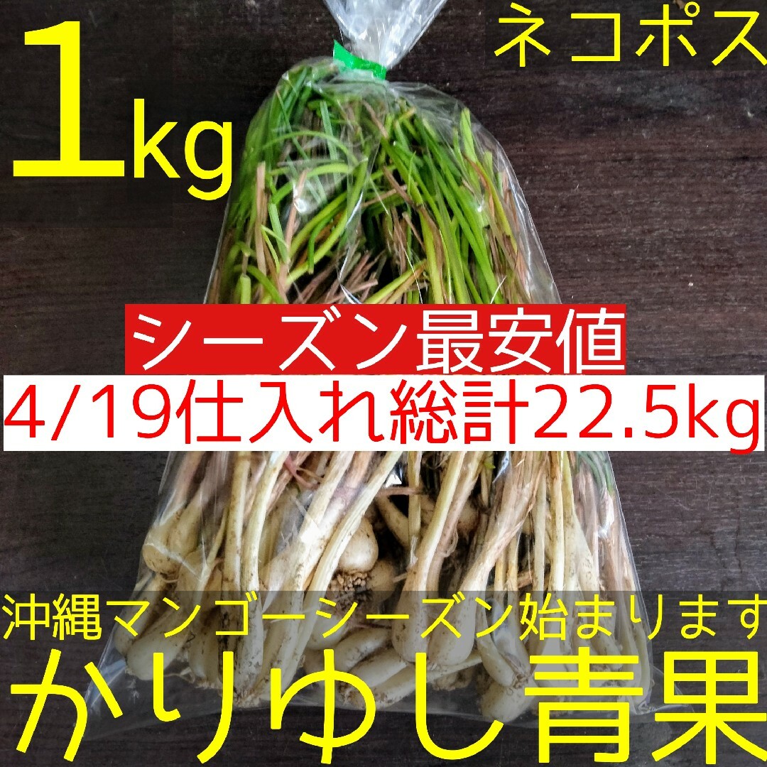 〈シーズン最安値〉沖縄県産 島らっきょうSサイズＢ品約１kg【ネコポス便投函】① 食品/飲料/酒の食品(野菜)の商品写真