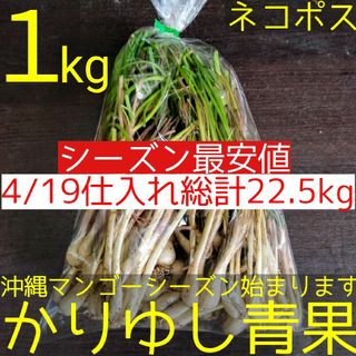 〈シーズン最安値〉沖縄県産 島らっきょうSサイズＢ品約１kg【ネコポス便投函】①(野菜)