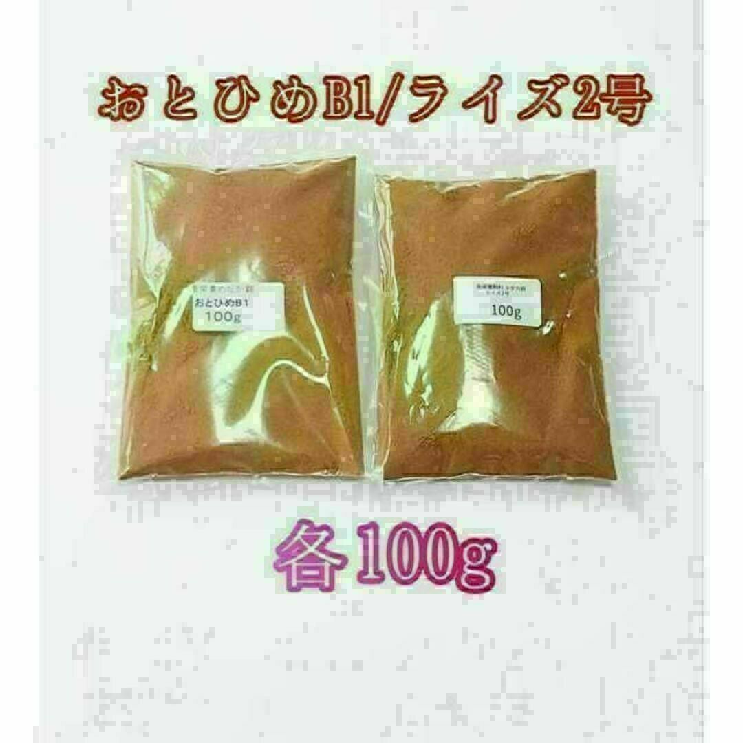 観賞魚餌 おとひめB1 ライズ2号 各100g 使い比べ 熱帯魚 グッピー その他のペット用品(アクアリウム)の商品写真