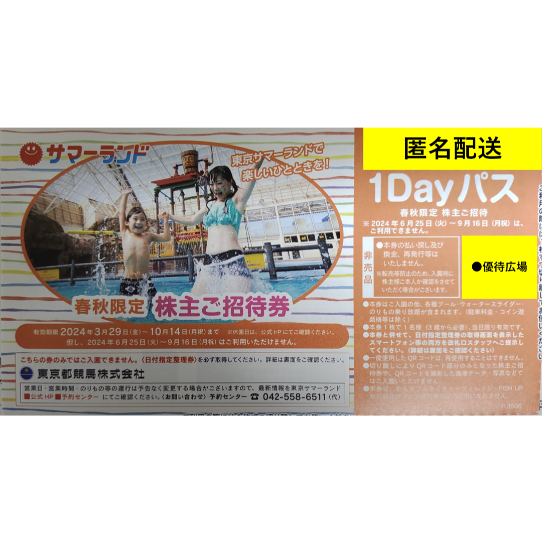 ●計24枚（各12枚）●サマーランド●東京都競馬●株主優待【匿名配送】 チケットの優待券/割引券(その他)の商品写真