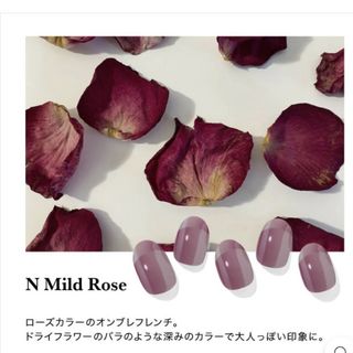 オホーラ(ohora)の【新品】ohora ネイルシール N Mild RoseN Mild Rose(ネイル用品)