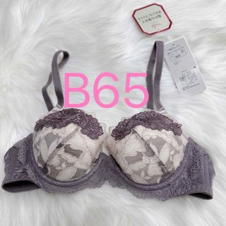 トリンプ(Triumph)のトリンプ プレミアム レッドレーベル0095 ブラジャー グレー B65(ブラ)