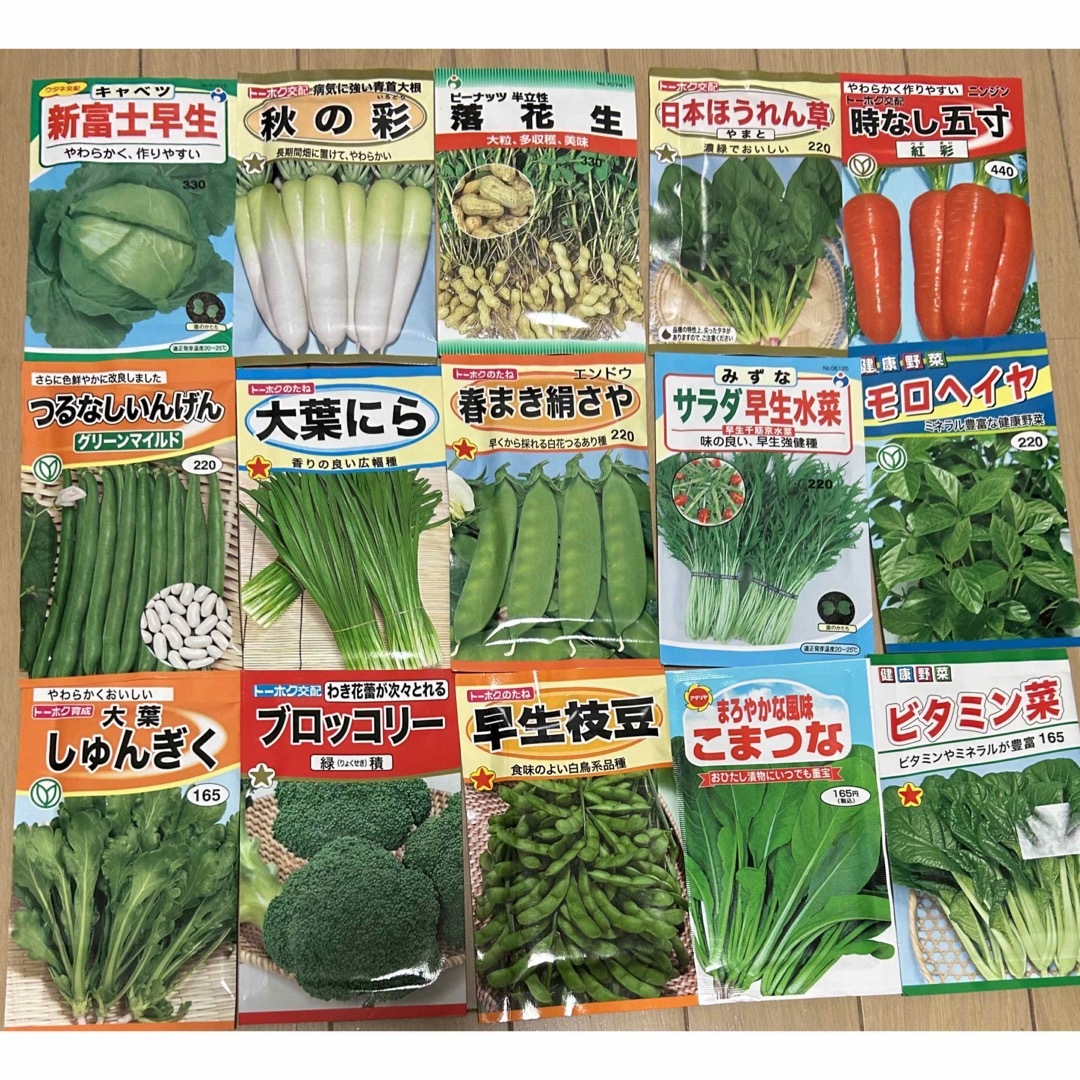 野菜の種　落花生　ブロッコリー入り 食品/飲料/酒の食品(野菜)の商品写真