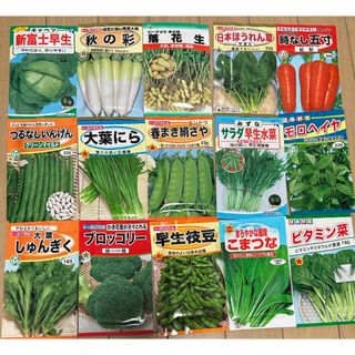 野菜の種　落花生　ブロッコリー入り(野菜)