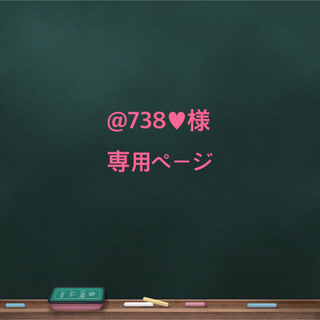 738♥様 専用ページ(その他)