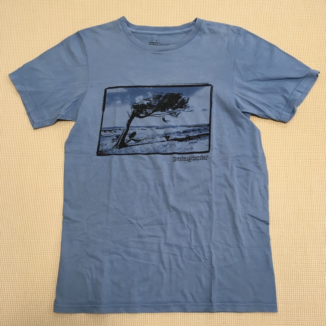 patagonia(パタゴニア)のpatagonia Tシャツ メンズのトップス(Tシャツ/カットソー(半袖/袖なし))の商品写真