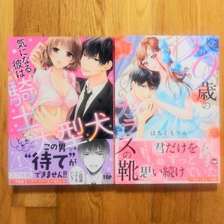 気になる彼は騎士ときどき大型犬　フブキ楓　29歳のガラスの靴　はちくもりん　TL(女性漫画)