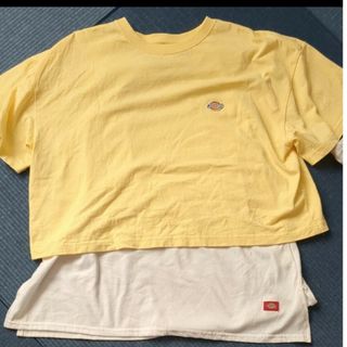 Dickies - レイヤードワイドTシャツ ディッキーズ フリーサイズ