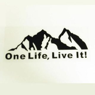 One Life Live It　 Mountain デカールステッカー　黒(車外アクセサリ)