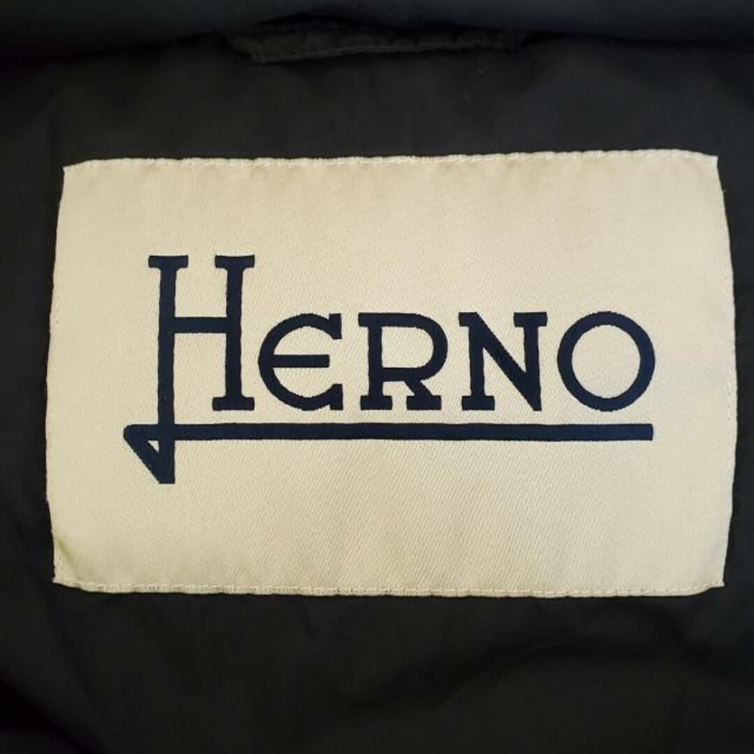 HERNO(ヘルノ)のHERNO(ヘルノ) ダウンジャケット サイズ43 レディース美品  - 黒 長袖/秋/冬 レディースのジャケット/アウター(ダウンジャケット)の商品写真