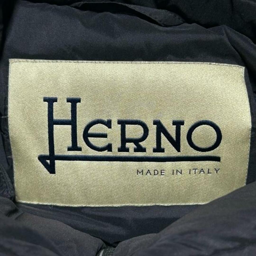 HERNO(ヘルノ)のHERNO(ヘルノ) ダウンコート サイズ44 L レディース - CA0246D 黒 長袖/ジップアップ/秋/冬 レディースのジャケット/アウター(ダウンコート)の商品写真