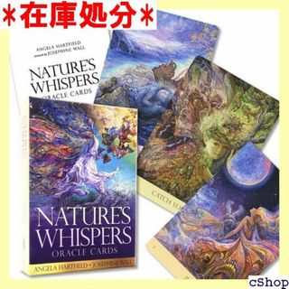 日本語解説書付き ネイチャーズ ウィスパーズ オラクル h ラクルカード 404(その他)