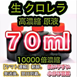 ★高濃縮】生クロレラ原液70 メダカの飼育 psb 金魚 熱帯魚 稚魚の水(アクアリウム)