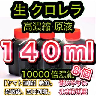 ★高濃縮】生クロレラ原液１４０ メダカの飼育 psb 金魚 熱帯魚 稚魚の水(アクアリウム)