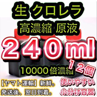 ★高濃縮】生クロレラ原液240 メダカの飼育 psb 金魚 熱帯魚 稚魚の水(アクアリウム)