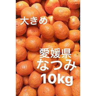 愛媛県産　家庭用　大きめ　なつみ　柑橘　10kg(フルーツ)