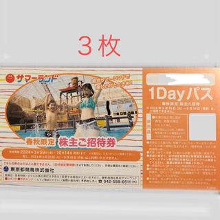 サマーランド　ご招待券1Dayパス　３枚