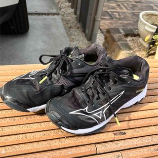 ミズノ(MIZUNO)のミズノ バレーボールシューズ　ウエーブライトニング Z7 24.5cm(バレーボール)