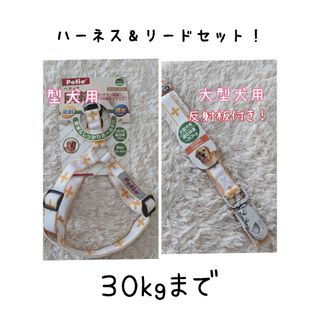 ペティオ(Petio)の30kg大型犬♡夜間反射！胴輪リードセット！ハーネスクロスオレンジ紀州犬(犬)