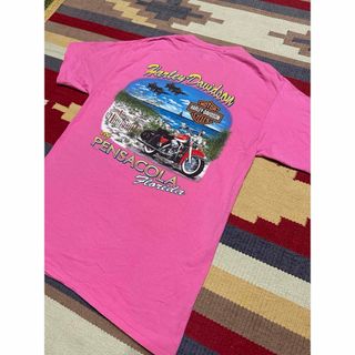 ハーレーダビッドソン(Harley Davidson)のハーレーダビッドソン Tシャツ(Tシャツ/カットソー(半袖/袖なし))