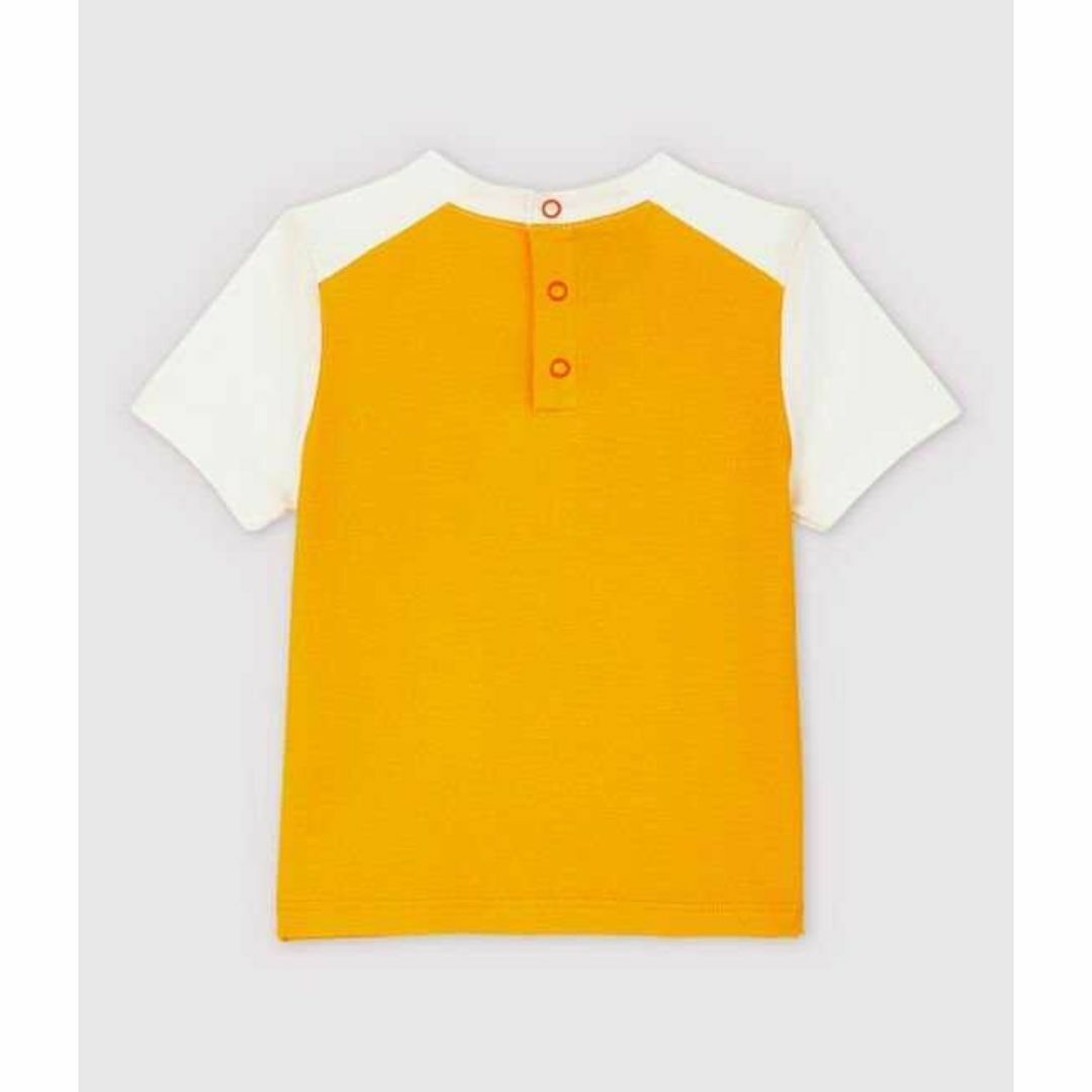 PETIT BATEAU(プチバトー)の新品未使用　プチバトー　36m プリント半袖Ｔシャツ petitbateau 鳥 キッズ/ベビー/マタニティのベビー服(~85cm)(Ｔシャツ)の商品写真