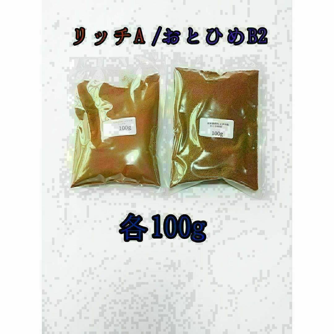 観賞魚餌 おとひめB2 リッチA 各100g 使い比べ メダカ 熱帯魚 グッピー その他のペット用品(アクアリウム)の商品写真