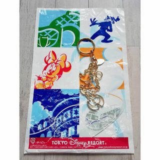 ディズニー(Disney)のディズニー ミニーマウス ゴールド キーホルダー 東京ディズニーランド リゾート(キャラクターグッズ)