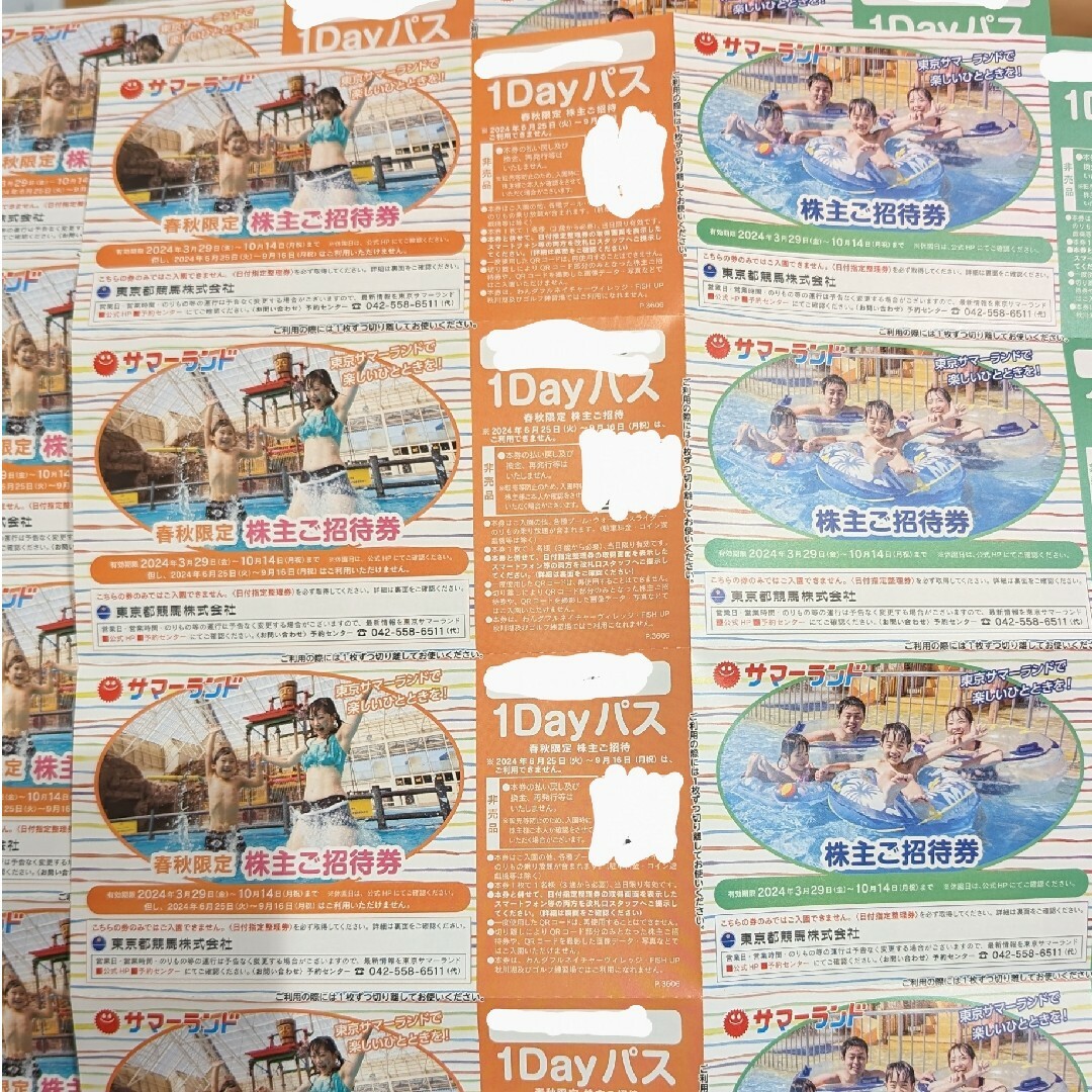 サマーランド 1Dayパス チケットの優待券/割引券(その他)の商品写真