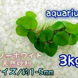 スノーホワイト 天然 砂利1-5mm 3kg アクアリウム メダカ 熱帯魚(アクアリウム)