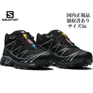 サロモン(SALOMON)の【美品】サロモン　SALOMON XT-6 GTX BLACK SILVER (スニーカー)