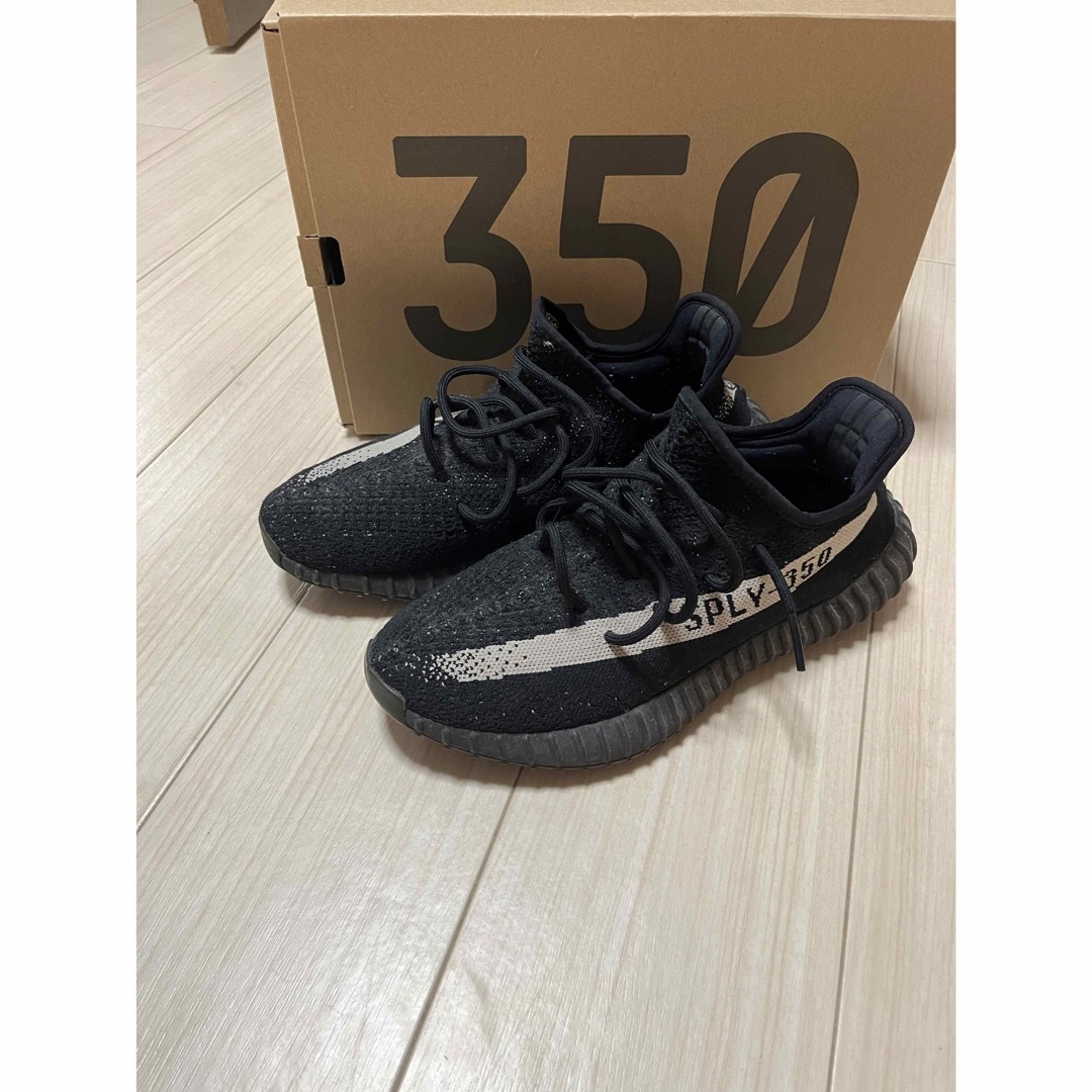 YEEZY（adidas）(イージー)の【完売品】YEEZY BOOST 350 V2 adidas メンズの靴/シューズ(スニーカー)の商品写真