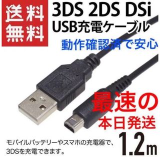 本日発送Nintendo 3DS&2DS対応/充電器ケーブル　l(携帯用ゲーム機本体)